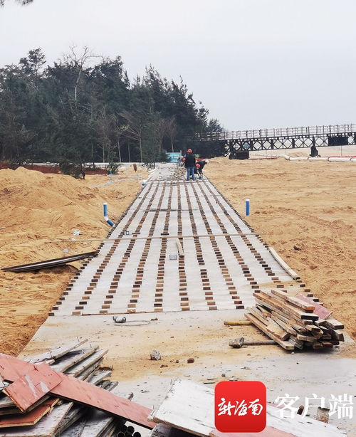 原創組圖 ?？谖骱０敦炌ǜ鹿こ套钚逻M展 國際會展中心附近沿海新建路完成瀝青路面鋪設