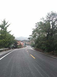 忠縣公路養(yǎng)護工程順利完成 路橋附屬工程建筑勞務(wù)分包助推項目建設(shè)